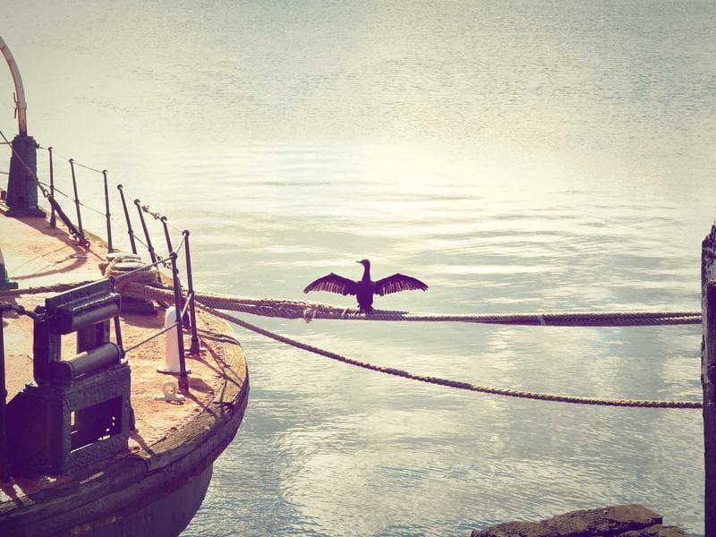 The Death of the JIRA Ticket: How AI Project Managers Automate Agile