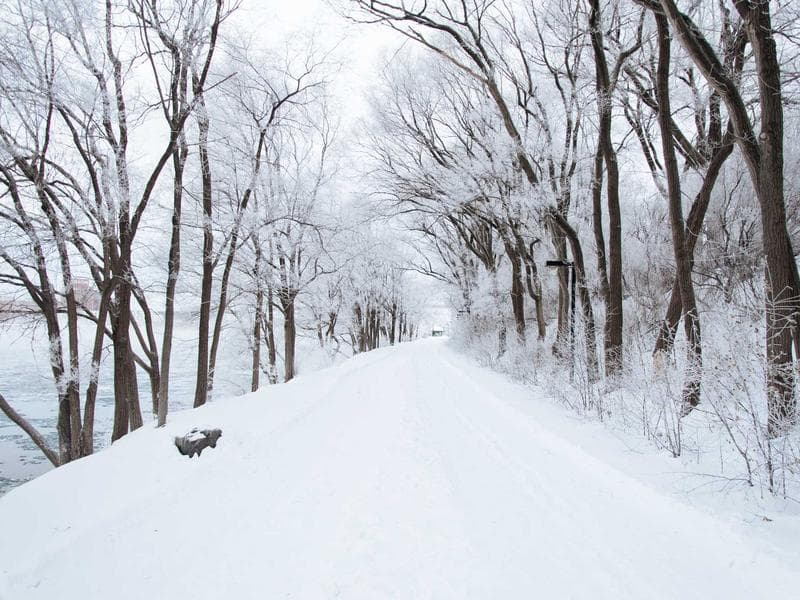 The Death of 10 Blue Links: Why GEO is the New SEO