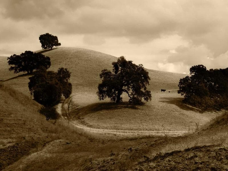 Microservices were a ZIRP Phenomenon: The Return of the Modular Monolith