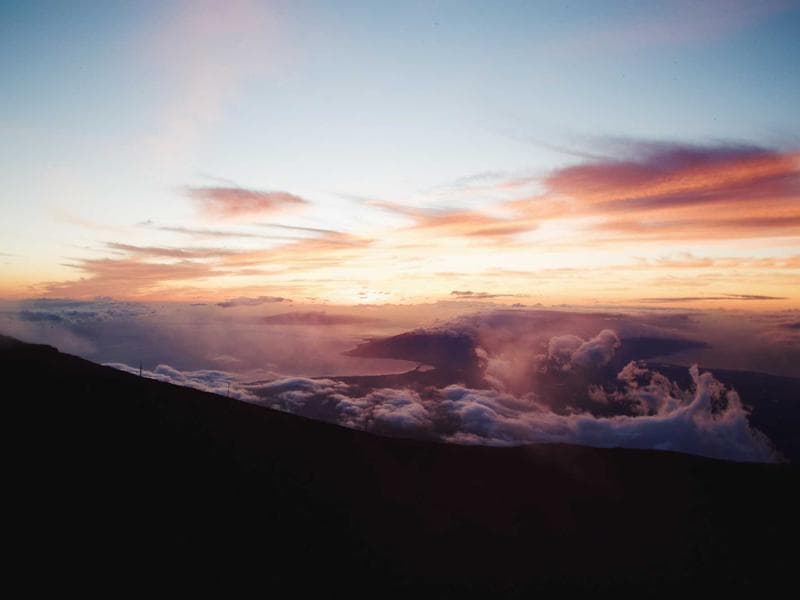 The Cortex of AI: Understanding Vector Databases